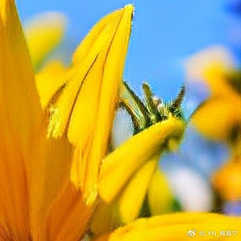 奥运会 | 早安 自己丰富才能感知世界的丰富；自己好学才能感知世界的新奇；自己善