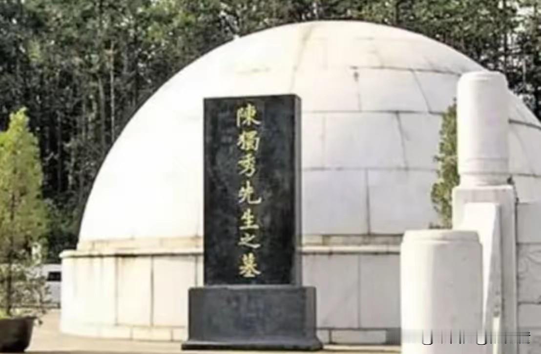 1990年9月，安庆北郊叶家冲，山坡上长满杂草。

赵朴初83岁了，下车后有人要
