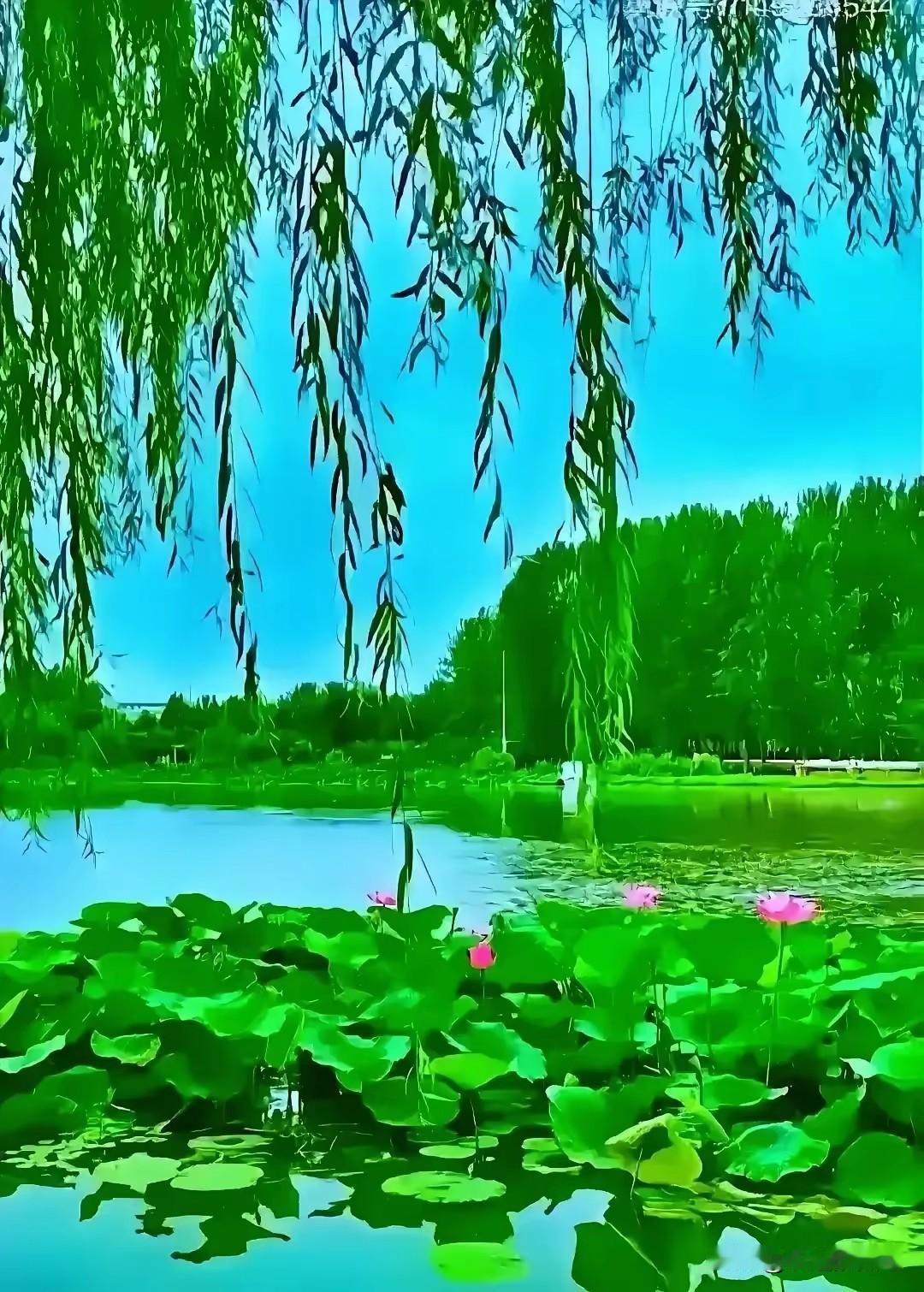 《五月欢歌》

文/范圣嘉
 
五月山川焕锦章，
清风袅袅送骄阳。
闲观丽景夏日
