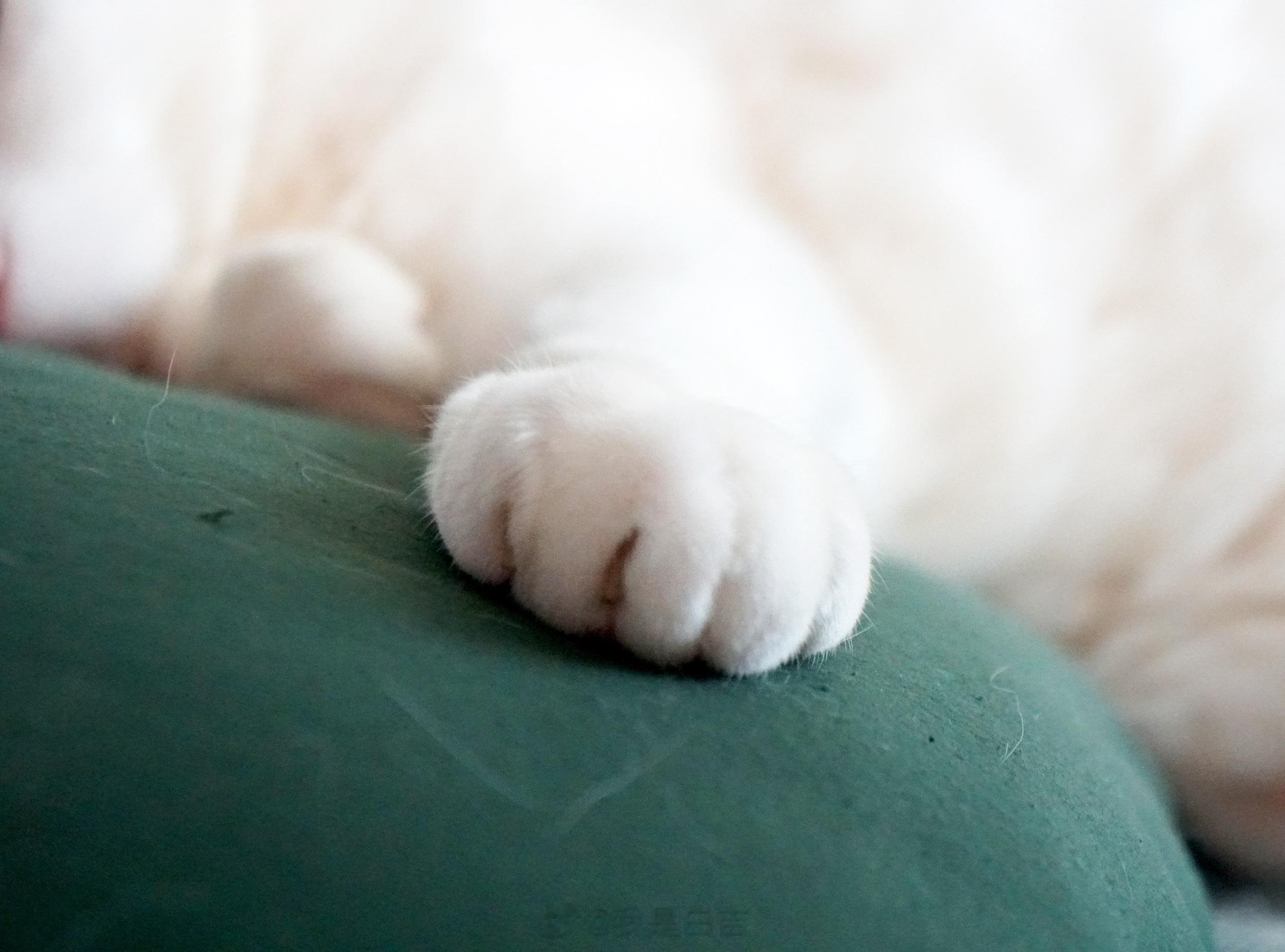 鹹香鹹香的。 ​​​