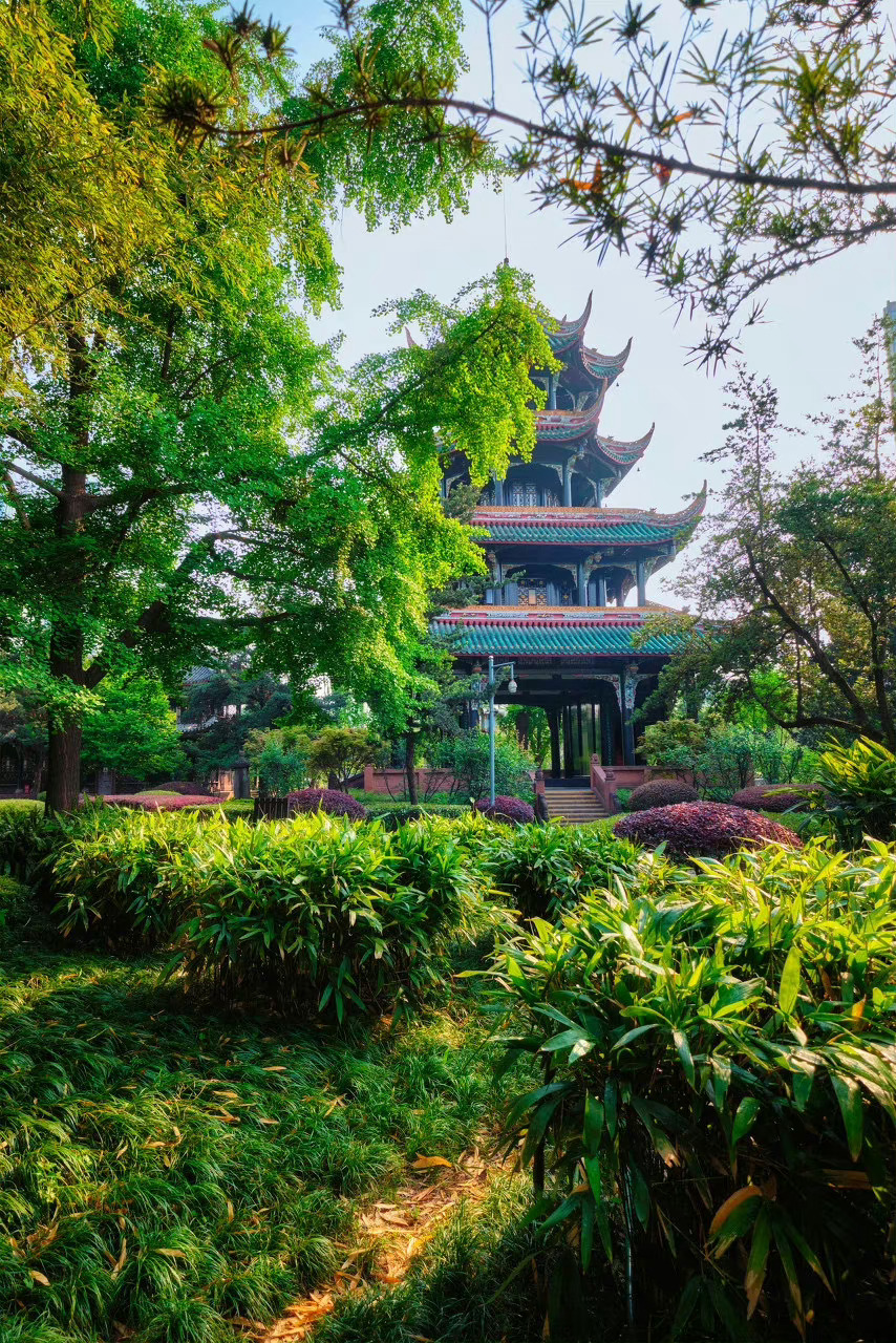 成都，总能让你不自觉放慢脚步，留意起周边的风景。或是承载过去的记忆，或是撰写着今