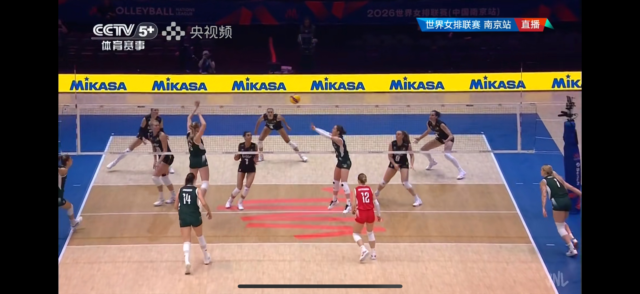 2026世界女排联赛午饭时间，可以浅看一下揭幕战：波兰🇵🇱女排vs比利时🇧