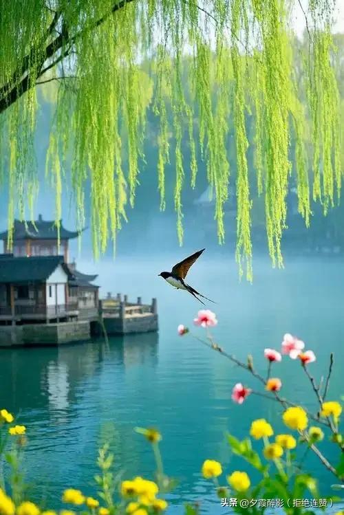 春眠不觉晓，
处处闻啼鸟。
夜来风雨声，
花落知多少。