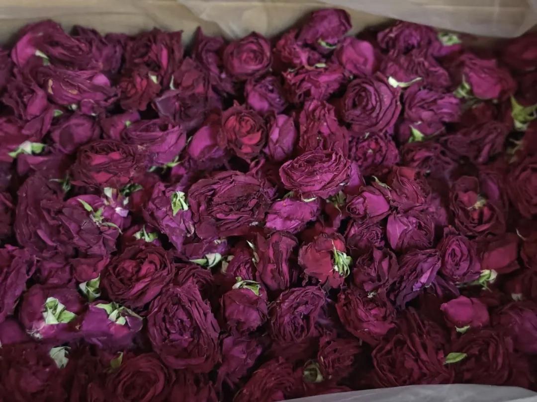 新鲜出炉的玫瑰