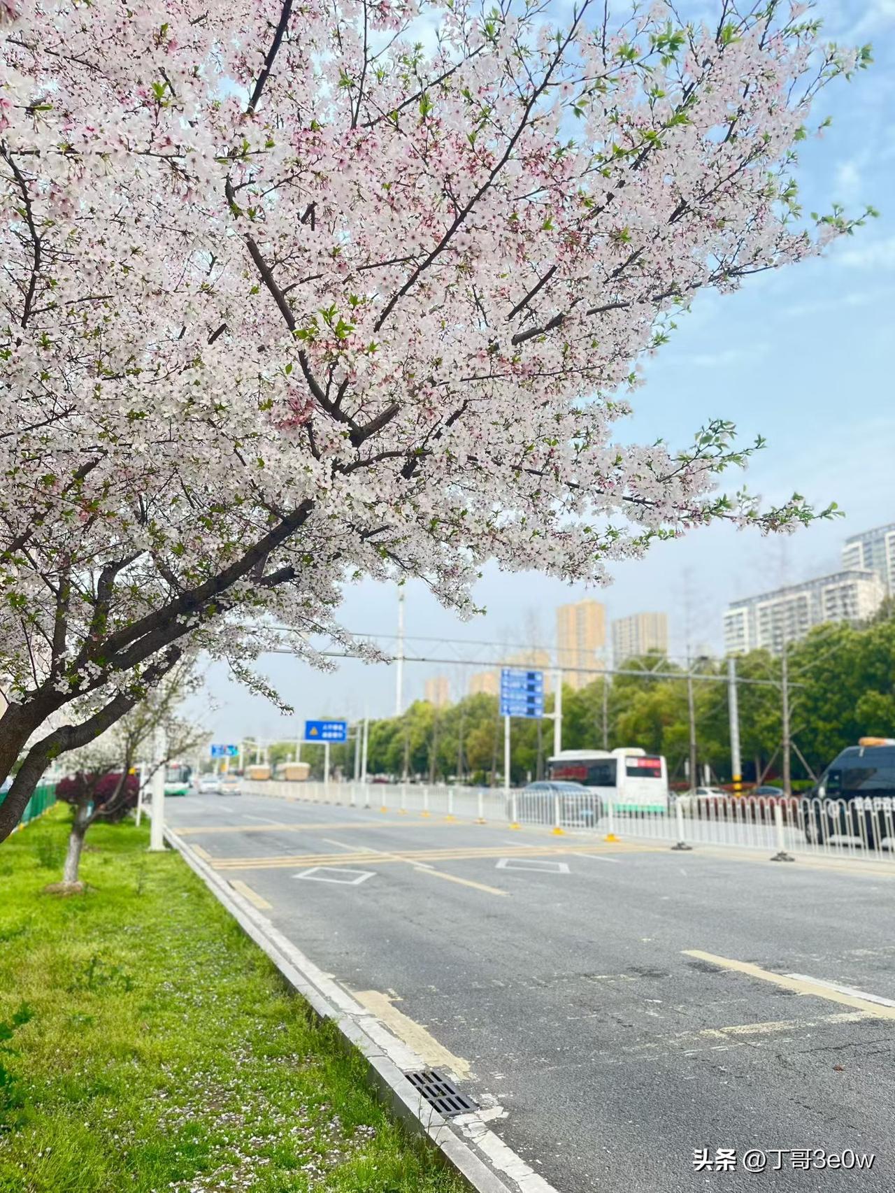 【昨日客流】
3月27日（周五）
武汉城市轨道交通线网客运量（含换乘）为506.