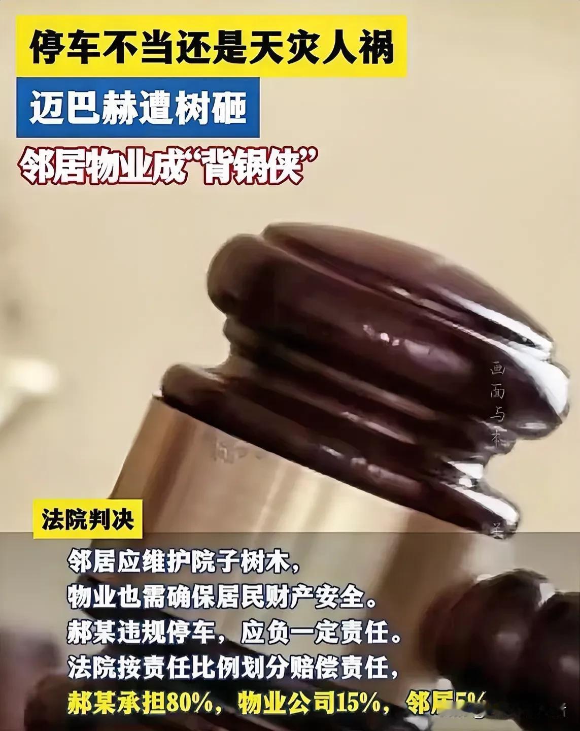 倒霉透了
大家来听听这事儿。有一辆迈巴赫停在了邻居家门口，结果倒霉遇上台风，车被