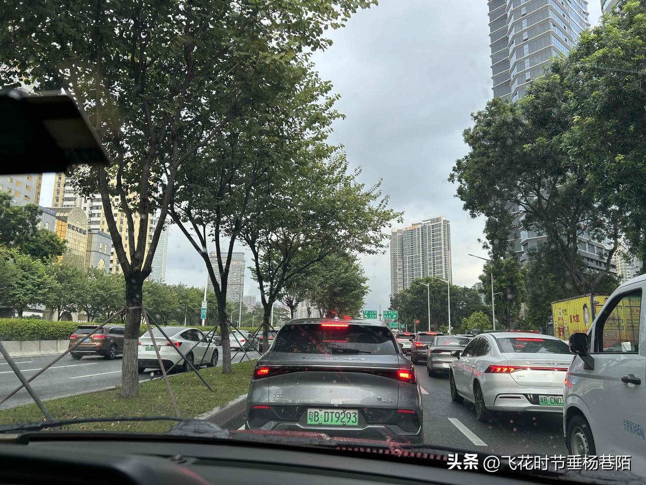 洗完车，深圳下起了太阳雨，这车又“白洗”了，晚上去吃河豚鱼，开上快速路，又遇上了