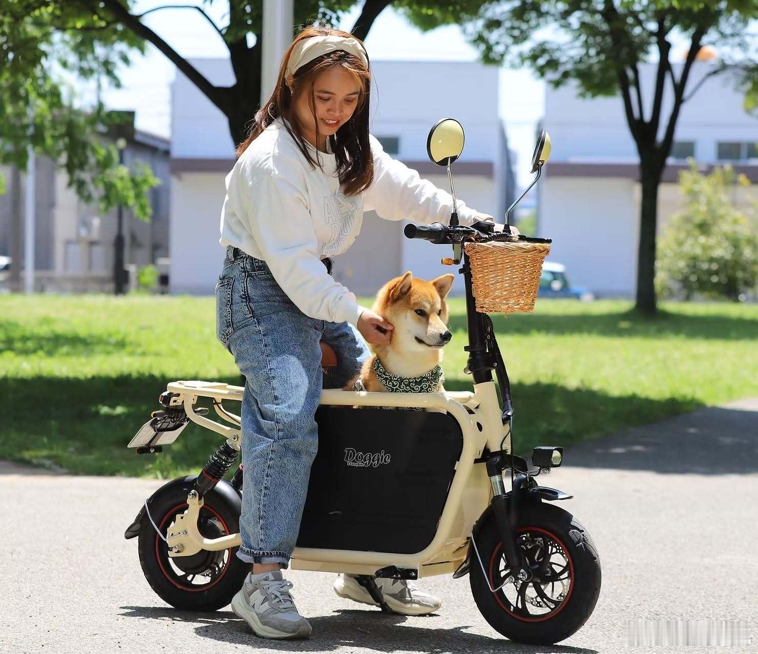 【 狗狗兜风专用机车「Doggie」 】在大阪市淀川区加岛开设机车行「WITH 