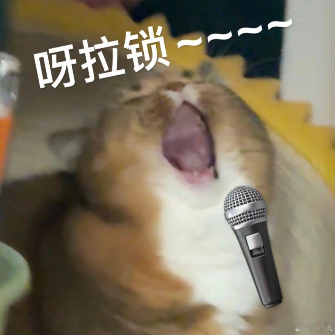 搞笑表情包。 ​​​