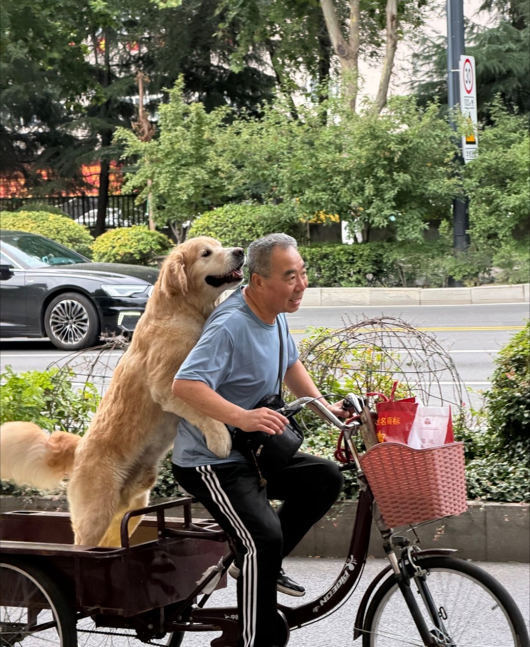 小狗去玩过的地方比我还多翻朋友家狗子的照片：沙漠、草原、溪流…狗主人：工位、地铁