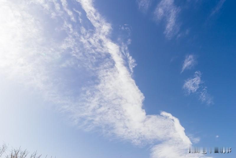 嫁人看家境还是人品，这真是个世纪难题。传统说“门当户对”，现代讲“人品至上”。