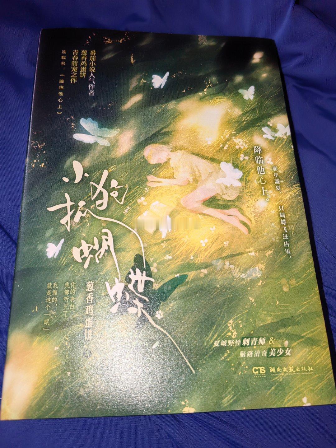 这小说让我通宵看到天亮我的私人宝藏书单书评 📚《小狗抓蝴蝶》✍🏻葱香鸡蛋饼刺