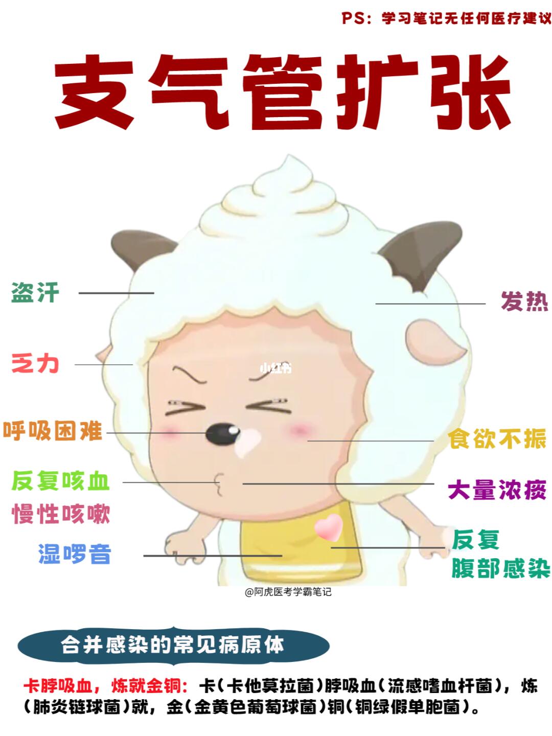 阿虎医考学霸笔记：当懒羊羊得了支气管扩展