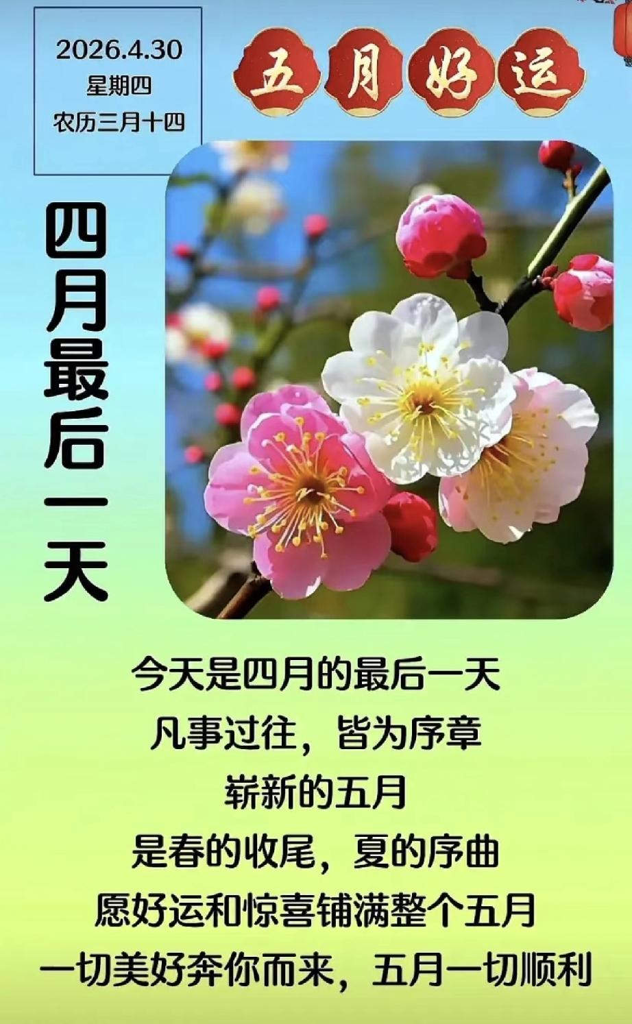 今日三月十四，做好四件事，为全家讨个财多福多！
 
家人们，今天是农历三月十四，