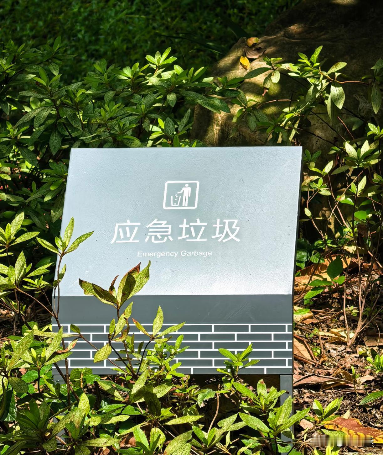 这到底是啥意思啊？