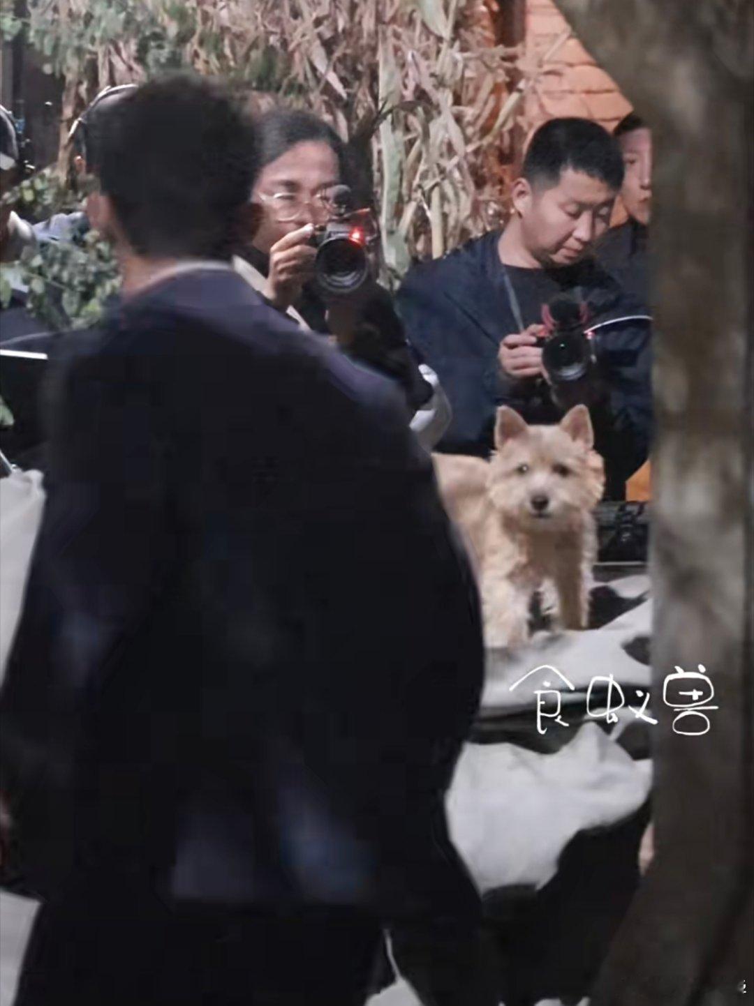 冲出来那一下，夏天大王看过去那一下好有宿命感[柯基]，可惜摄影机不在这边……[d
