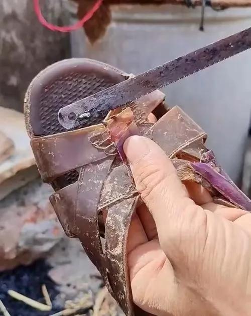 干过这个活，使用过这样的文具盒，手抄过这样的歌曲的人，现在年纪多大了？