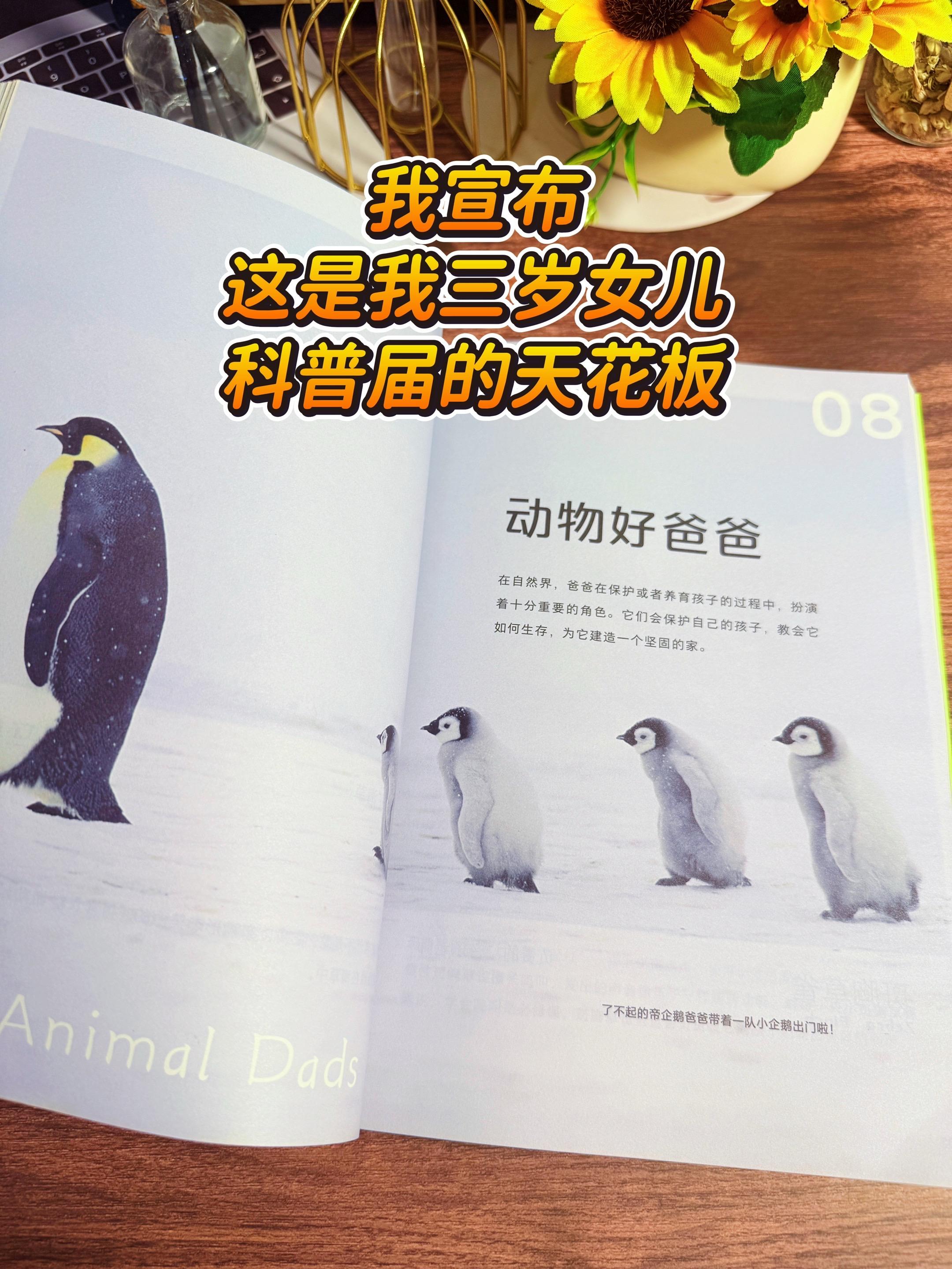 儿童纸上纪录片🔥。哇！适合3岁孩子的自然百科书来啦！里面的高清实拍图...