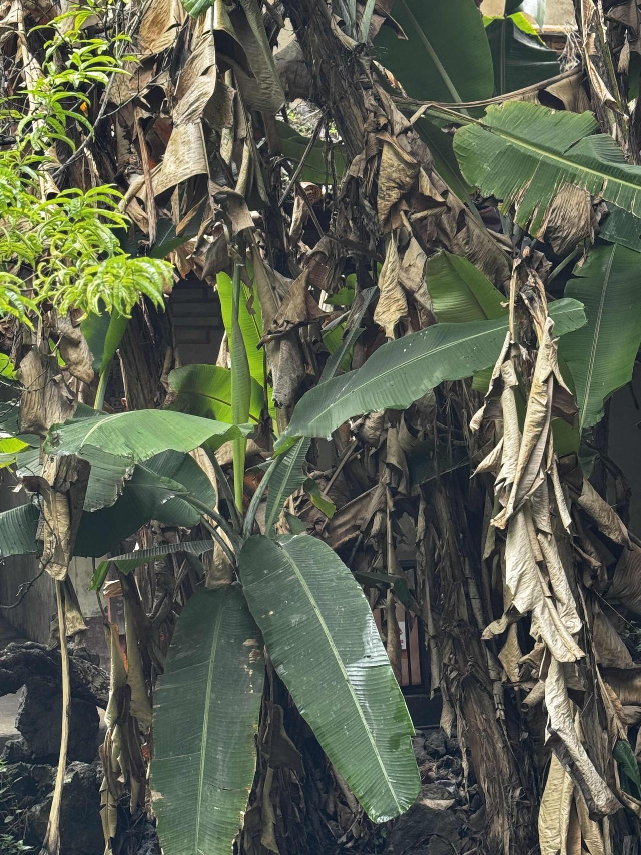 生命在于再生，年轻时候的你，不是老年的你，就是昨天的你，和今天的你也不一样！
