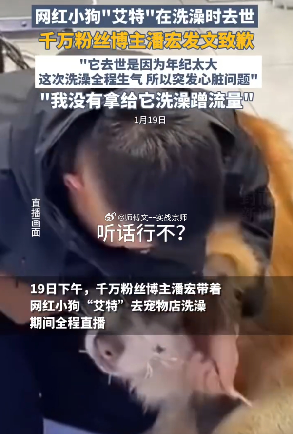 网红潘宏虐狗纠纷终审判决 训狗师潘宏“虐狗”纠纷终审落判。2024年11月，李女