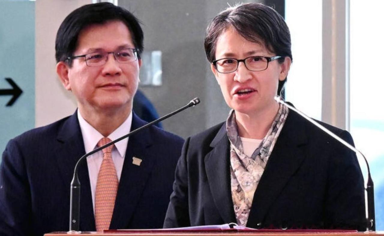 行程已结束，林佳龙回到台湾省，大陆重拳反制，欧方官员半路返航

萧美琴低调抵意大