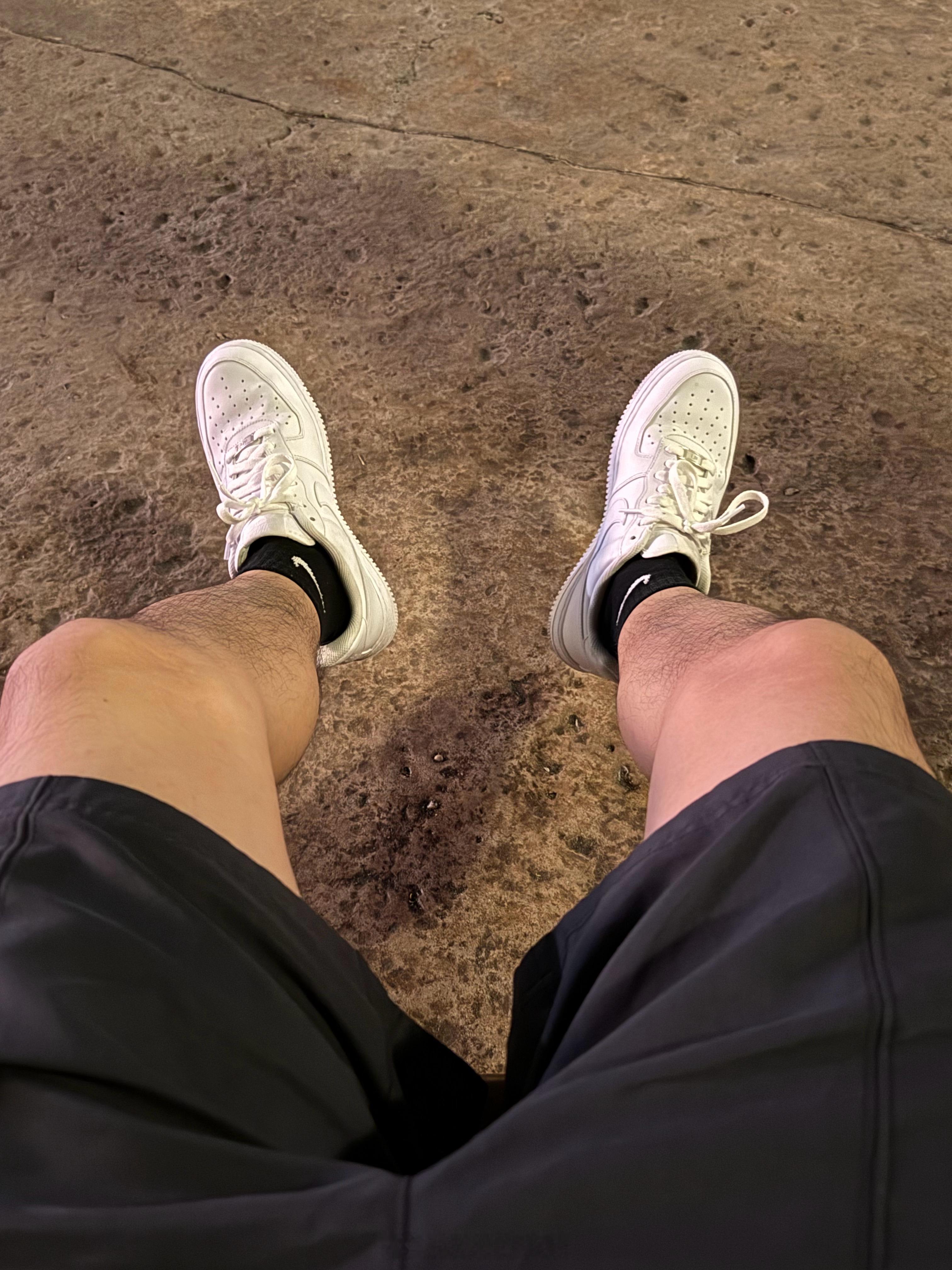 🌆 