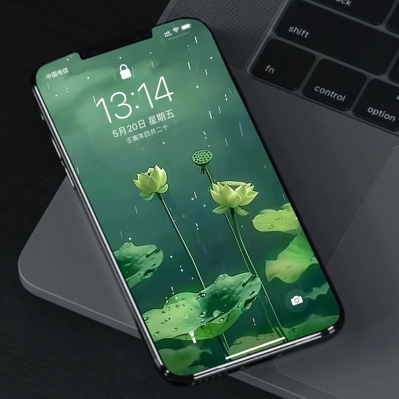壁纸：雨中荷塘 护眼