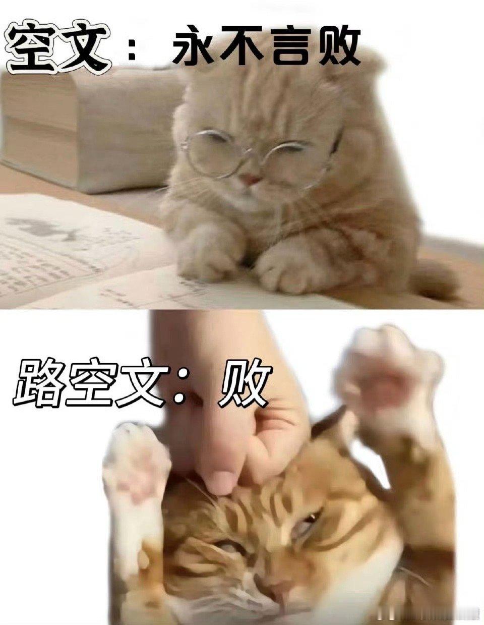 董子健演出我现实网络两种状态现实中是i人，网络上是e人，董子健这简直在演我现实网