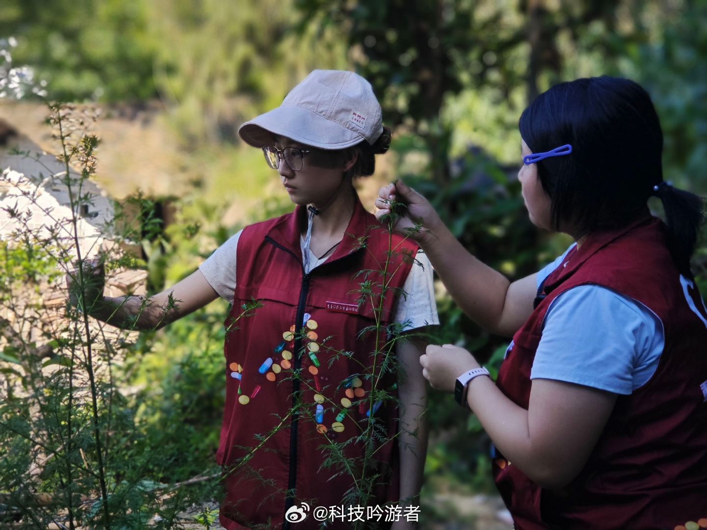 【情暖老兵老党员 深耕青蒿助振兴】重庆学子筑桥推普暖人心重庆大学生法治下乡志愿行
