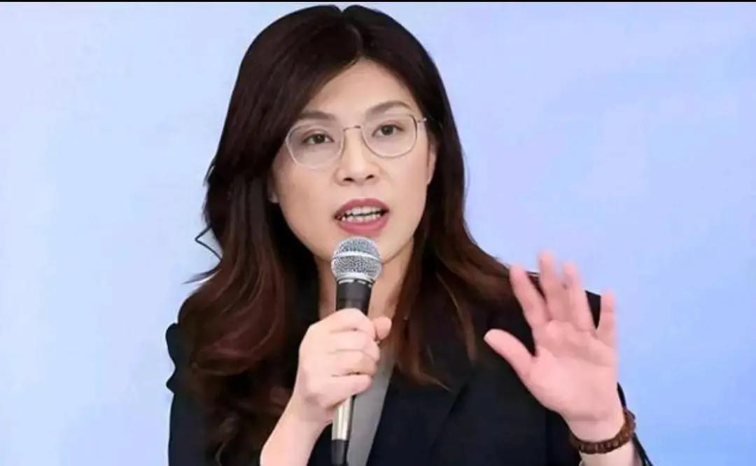 反“独”是幌子，拒统是真相！郑丽文把“维持现状”演成了“软性台独”遮羞布！

彭