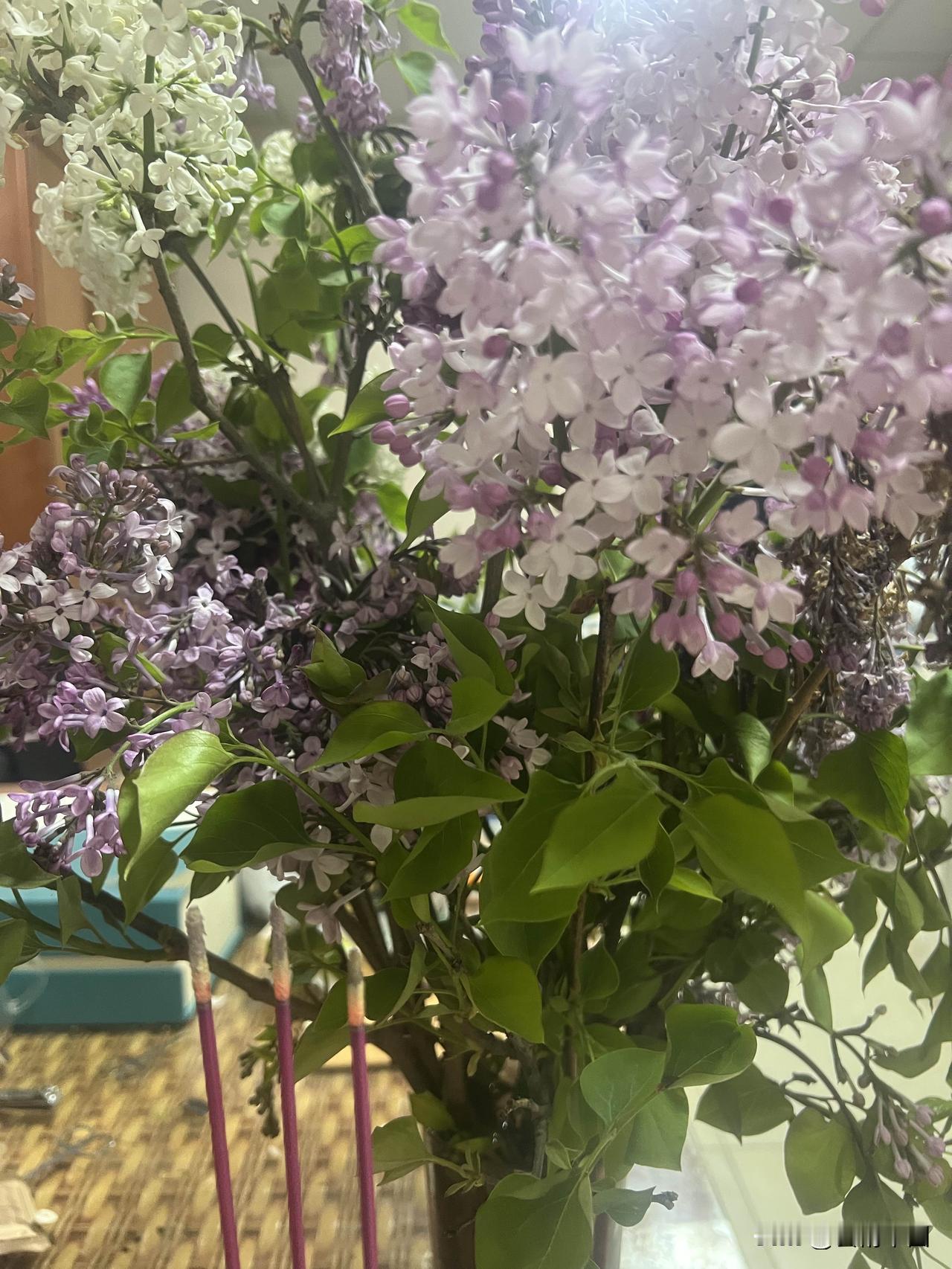 清明节日寄哀思
——郭赋林（釜麟）

又是一年清明至，细雨如丝，轻柔地笼罩着人间