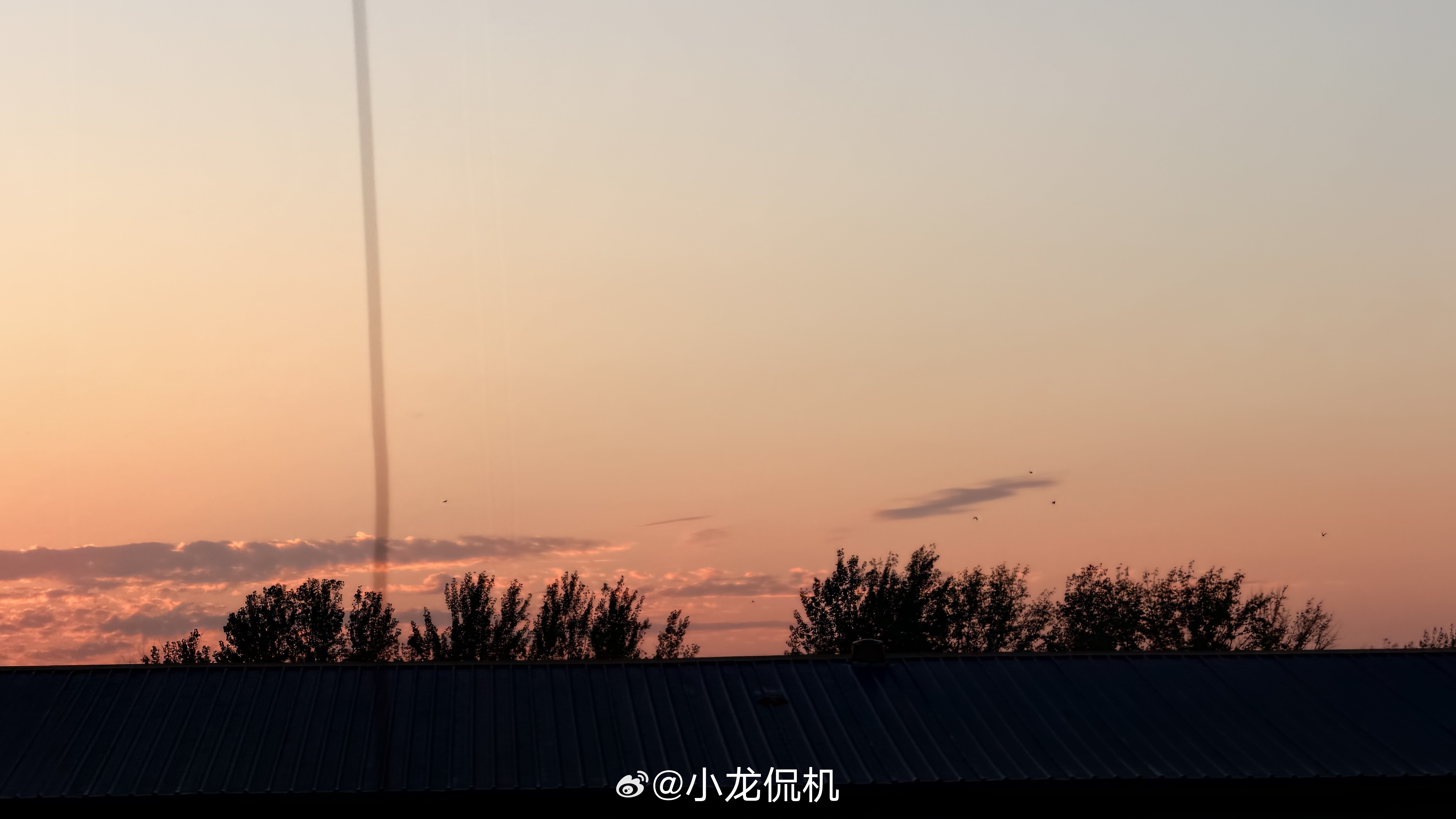 这代苹果拍东西怎么越看越喜欢啊 ​​​