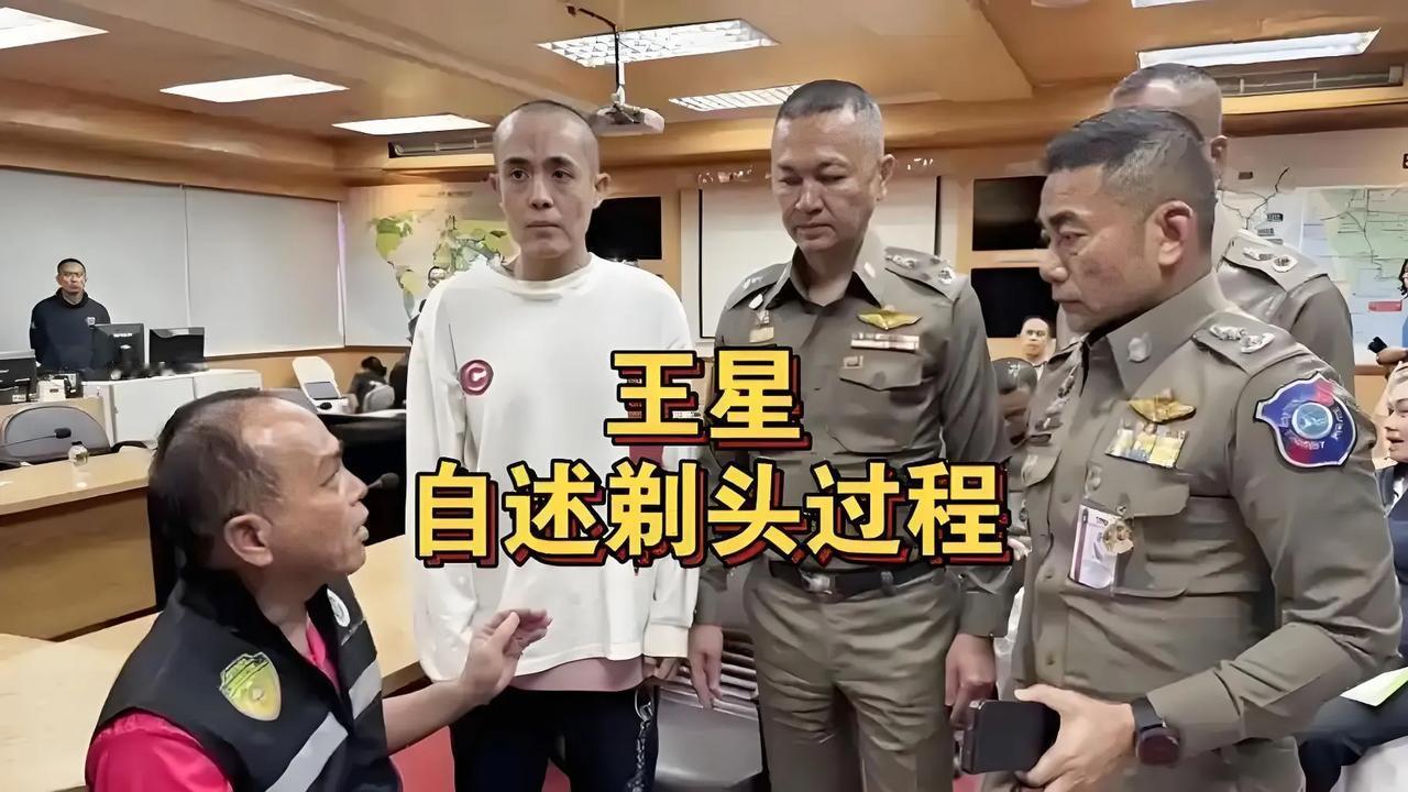 演员王星缅北获救，没有什么好说的了，因为被骗去缅北的中国人很多，王星是一个幸运儿