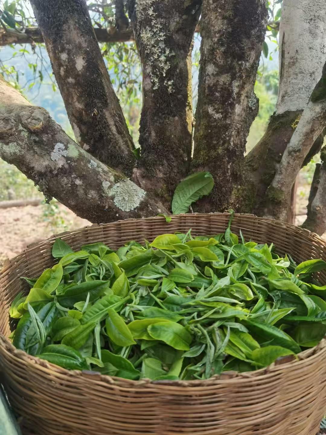 难走的路，往往就是应该走的路，人生就像一场漫长的修行，看似不起眼的日复一日，默默