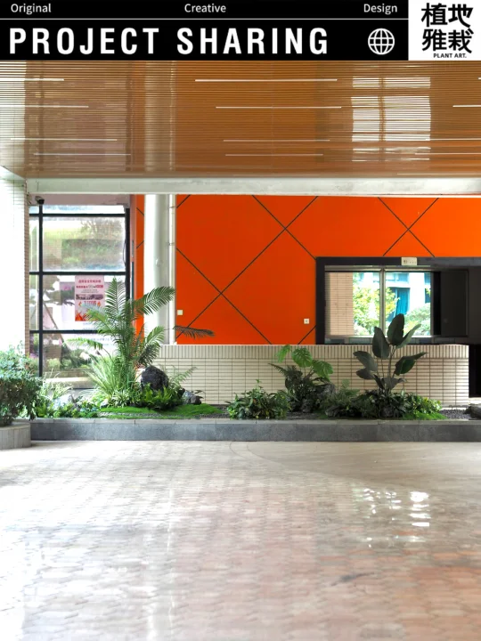 案例✿｜南京卫校｜庭院植物景观设计改造