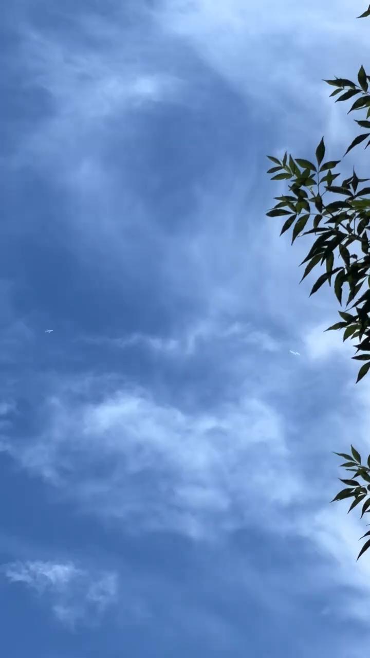 三十八。