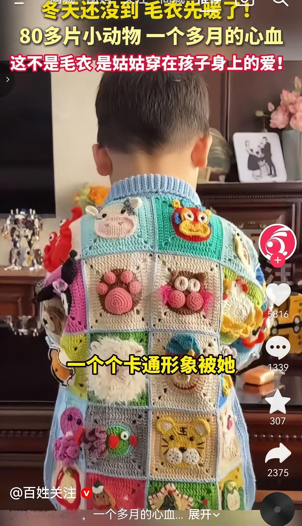 一件毛衣上织了80多种小动物，这个姑姑的“笨功夫”为什么让全网眼红 
 
山东一