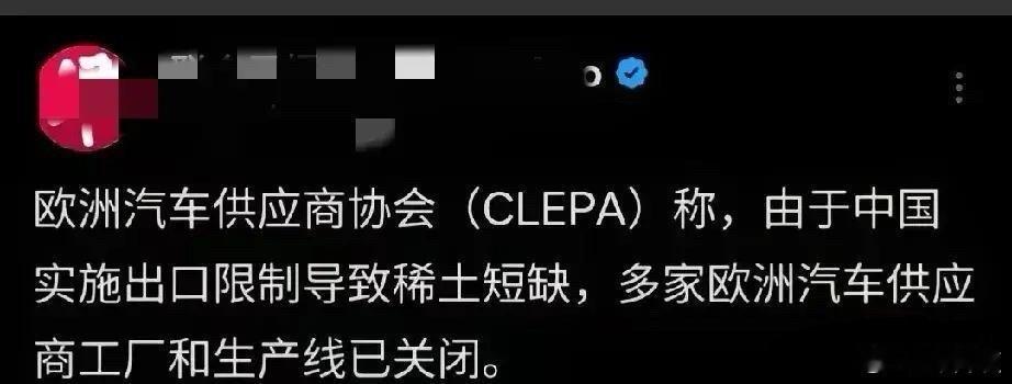 沈逸教授称中国本来也不知道稀土的威力这么大，结果中国稍用力管制一下稀土，世界各国