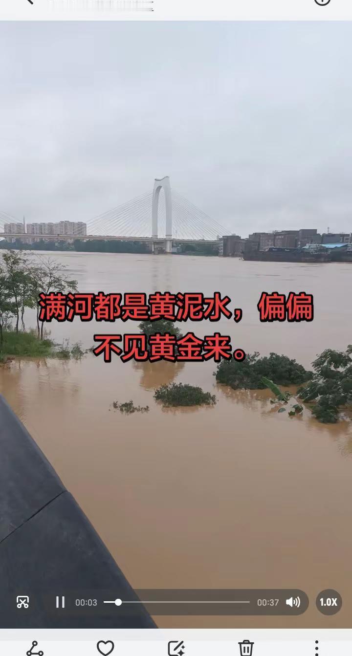 贵港7月7号晚终于熬过最难一夜。黄泥水已降低。