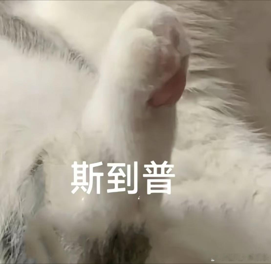 李晋晔是真害怕了森林进化论2025 隔着屏幕都能感受到李晋晔的恐惧 被刘小怂的剧