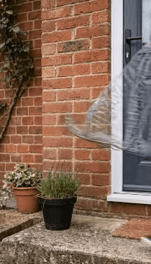 按此方法能做出来吗？有试过的吗？