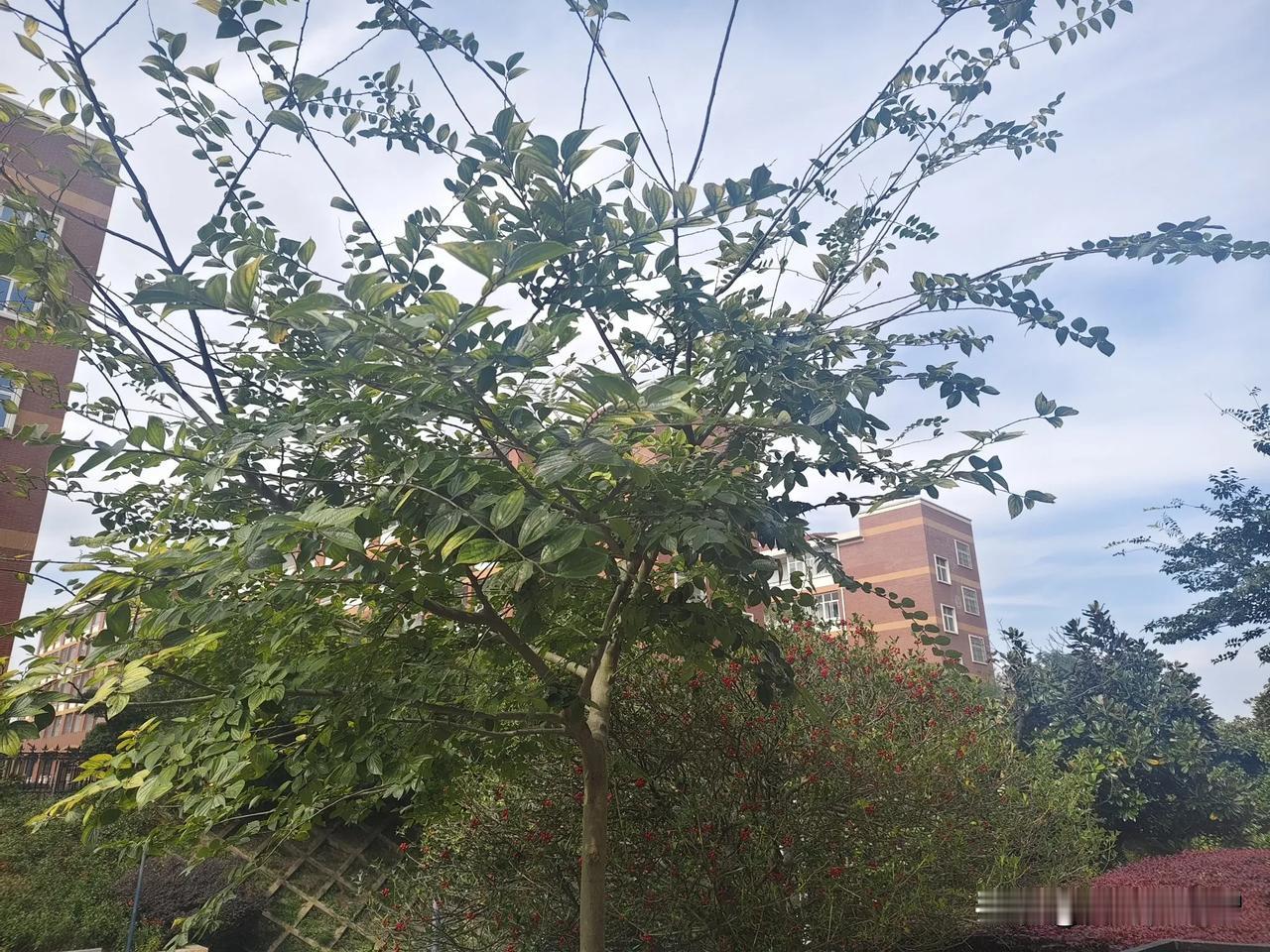 不与民为敌，否则汪洋大海瞬息淹没你！
我看到有友友责怪老百姓议政和乱发消息，你的