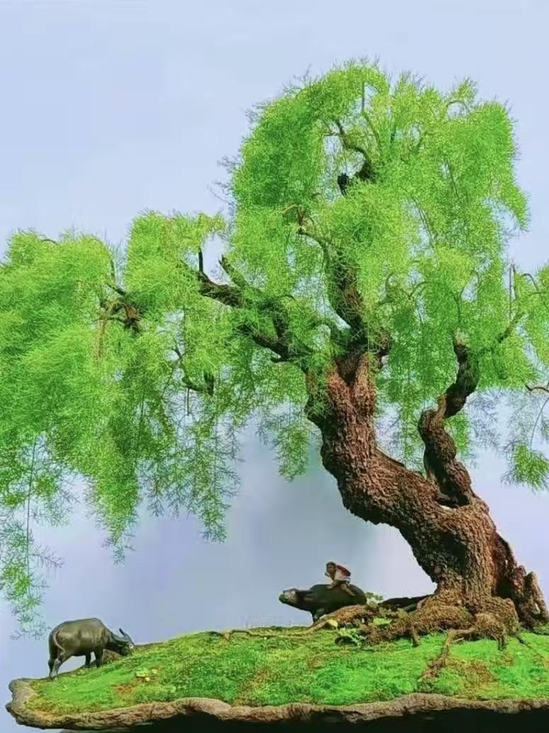 残春过农家
牧童牛背笛声飘，
飞过荷塘落石桥。
阵阵蛙鸣邀柳月，
残春小麦起新苗