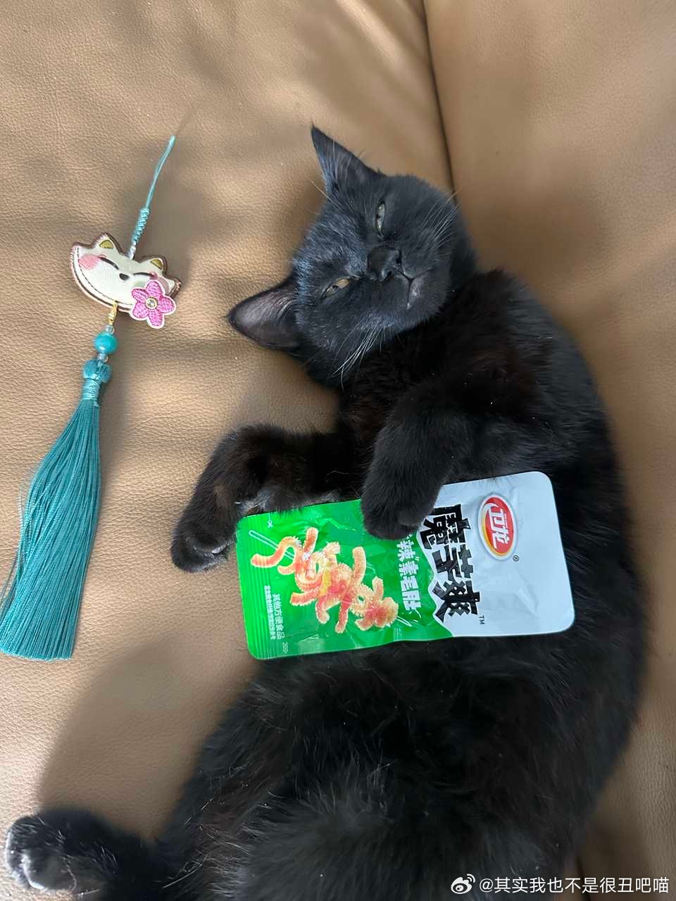 50636【馋猫】睡觉也要带着魔芋爽的那种猫 