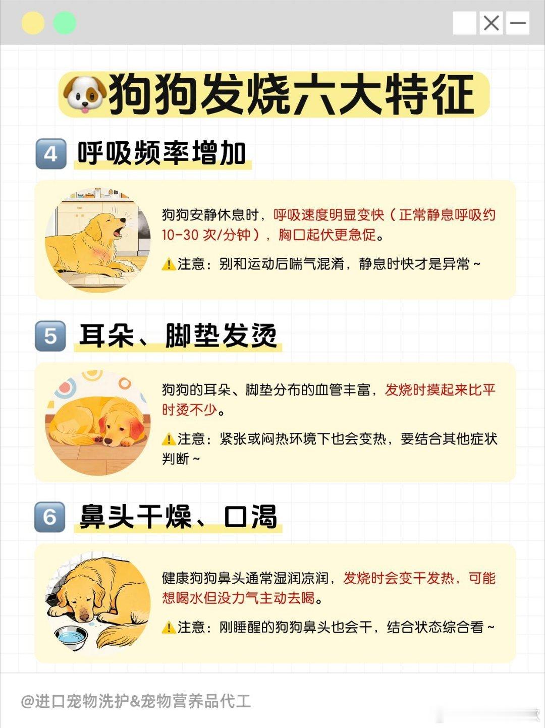 狗子回家高烧三天虽然只是一段机器狗把真狗吓得到处乱窜的搞笑视频，而非真实的小狗发