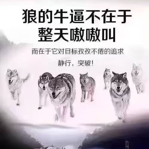 分享图片 