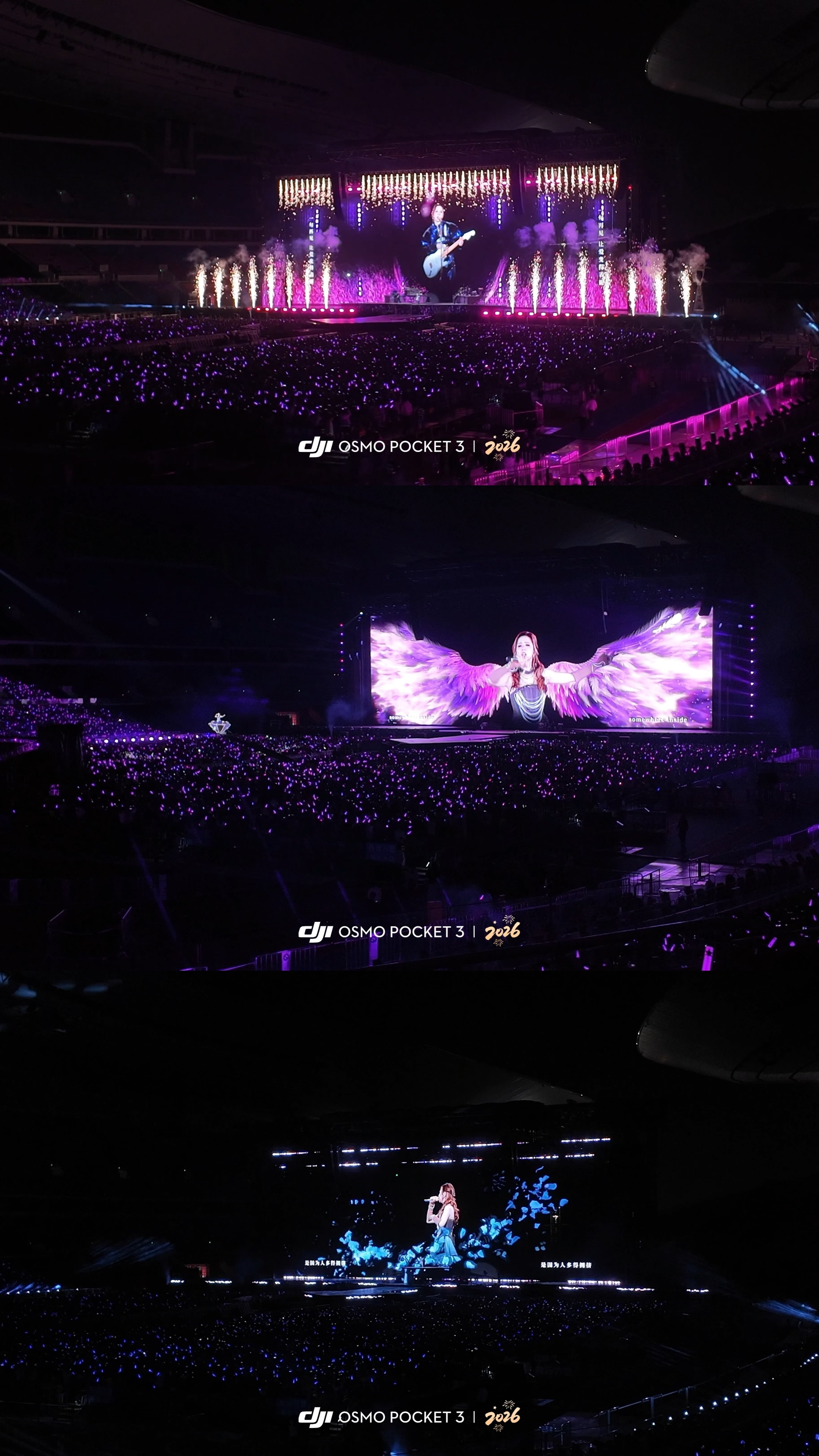 💜𝐆.𝐄.𝐌.  能量满格 