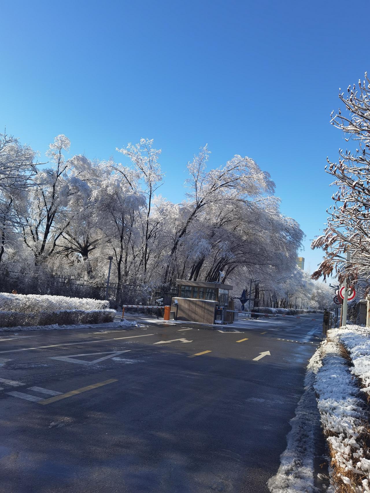 北国的雪最像雪，晶莹剔透，一尘不染，总是那么豪爽，一下就是堆满树，铺满地。不像南