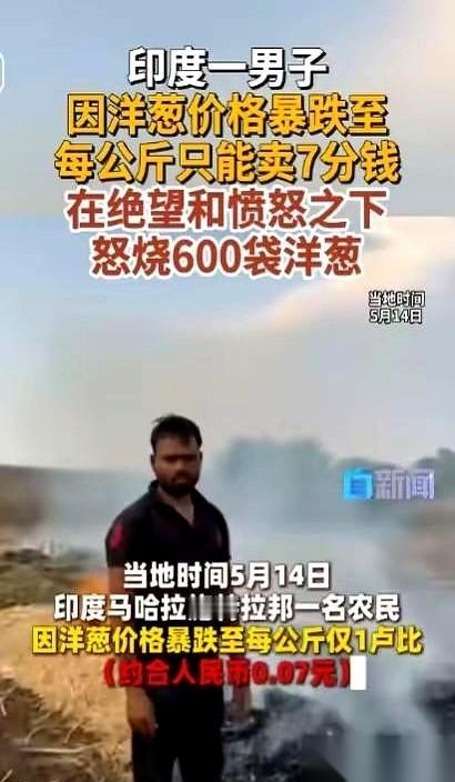 印度一个农民，亲手烧了自己堆成小山的600袋洋葱。
收购商把钱拍在桌上，一公斤，