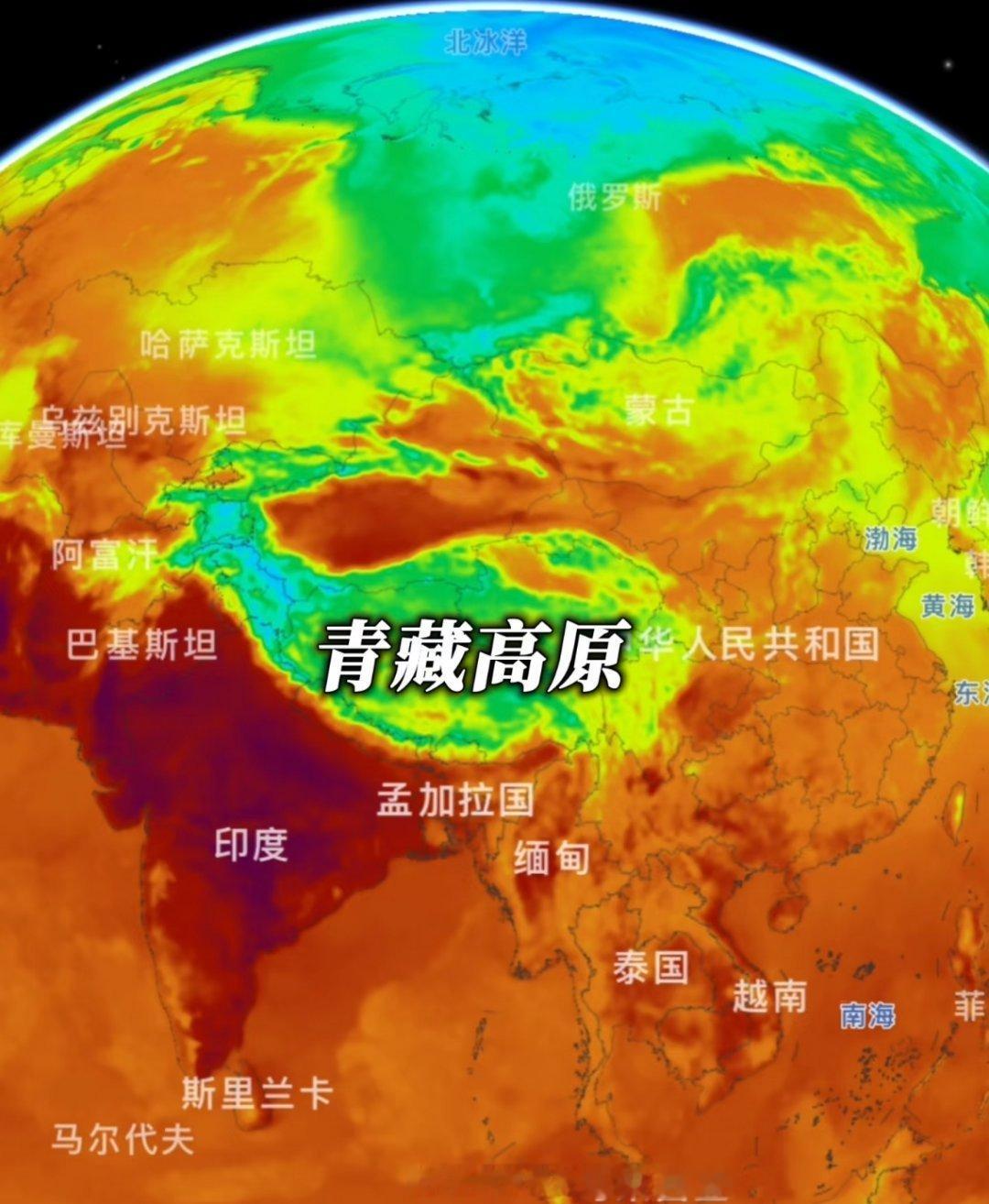 印度高温肆虐蝙蝠从树上坠落奄奄一息本轮印度遭遇史无前例的极端热浪侵袭，多地地表温